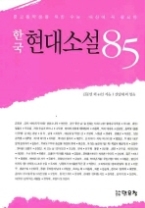 한국 현대소설 85 - 중고등학생을 위한 수능 · 내신에 꼭 필요한